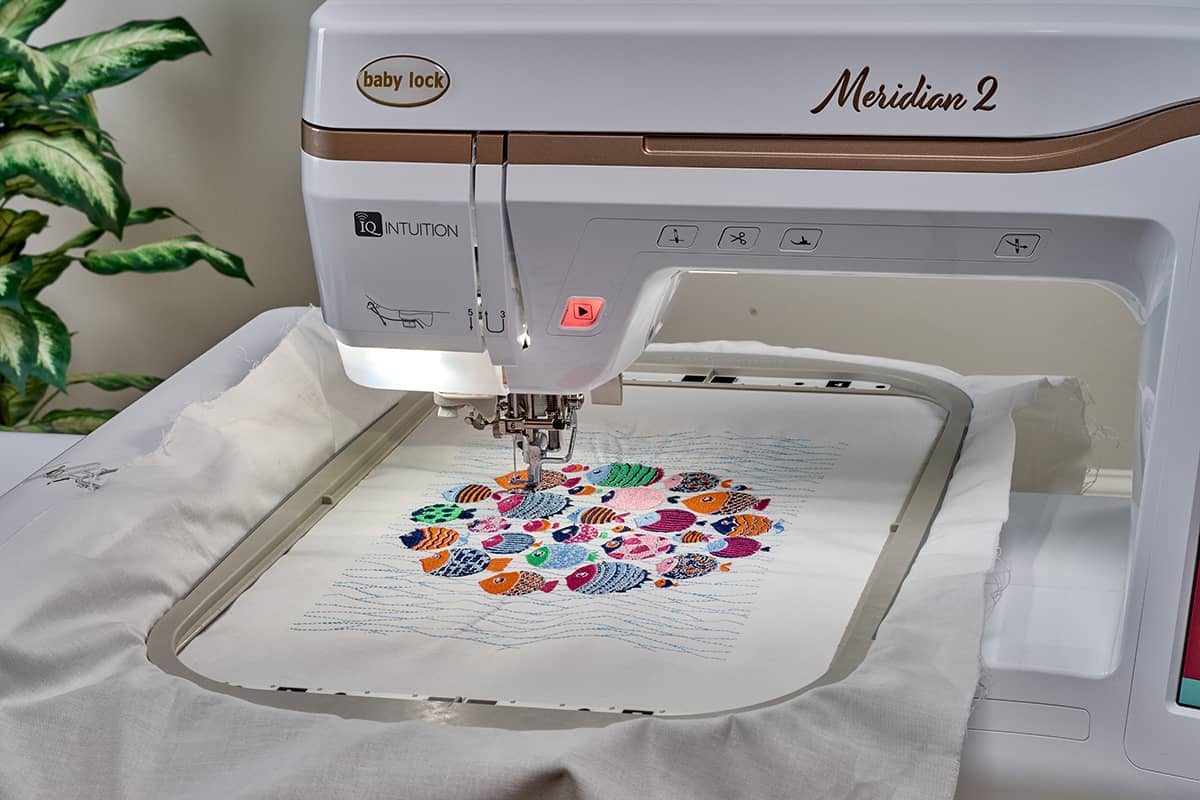 Meridian 2 embroidery field