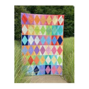 Sew Steady Sariditty Tutti Frutti quilt sample