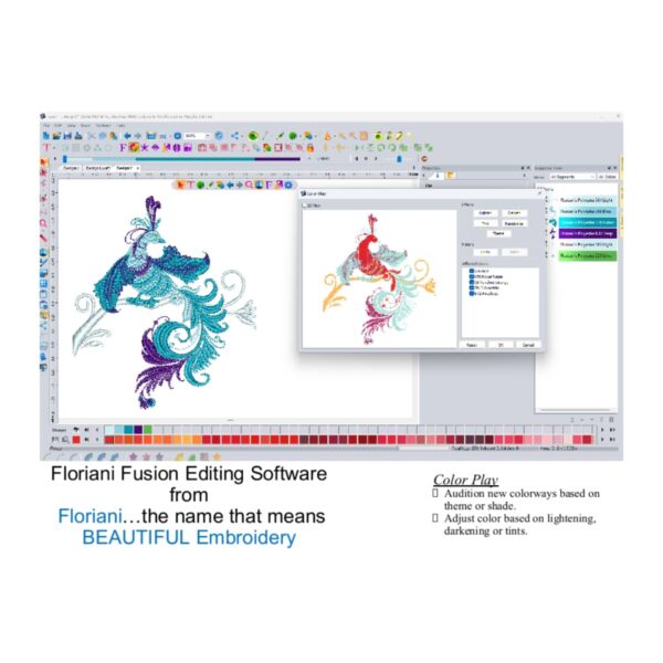 Floriani Fusion software Color Play