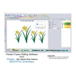 Floriani Fusion software Color Sort