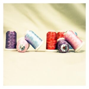 Floriani Variegated Embroidery Thread main Product Image