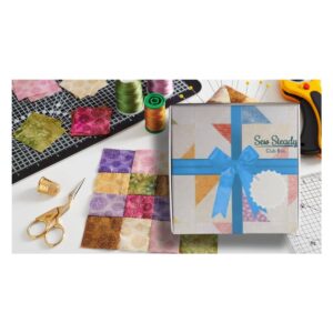 Sew Steady Elevate Get it All Subcription Club - Q4 Box